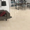 Puccini Marfil 24X48 Wall And Floor Tile