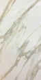 Roca White 24X48 Wall And Floor Tile
